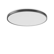 RZB - Decken-/Wandleuchte LED-Wand-/Deckenleuchte 312303.0031.2.76 DALI, anthr