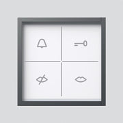 Siedle&Söhne - Funktionsmodul für Türkommunikation Zustandsanzeige-Modul ZAM 600-01 DG dunkelgrau-Glimmer