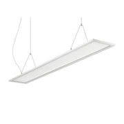 Brumberg Leuchten - Pendelleuchte LED Pendelleuchte 49260073DA 3000/4000K, DALI