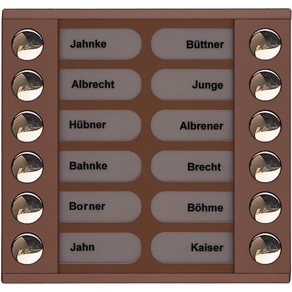 TCS Tür Control - Montageelement für Türstation Audioaußenstation 2-reihig PET12-EB/04 Erw.12 Tasten bronze