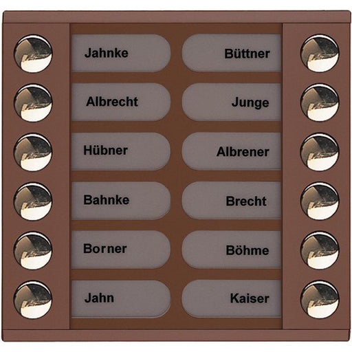 TCS Tür Control - Montageelement für Türstation Audioaußenstation 2-reihig PET12-EB/04 Erw.12 Tasten bronze