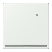 Jung - Orientierungsleuchte LED-Orientierungslicht LC 1539-O LNW 210