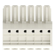 WAGO - Ein- und mehrpolige Klemmenleiste 1-Leiter-Federleiste 831-3106 CAGECLAMP,10mm²,lgr − 24 Stück