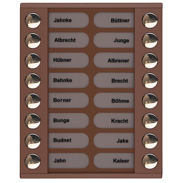 TCS Tür Control - Montageelement für Türstation Audioaußenstation 2-reihig PET16-EB/04 Erw.16 Tasten bronze