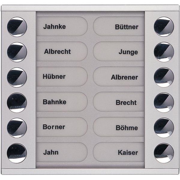 TCS Tür Control - Montageelement für Türstation Audioaußenstation 2-reihig PET12-EN/04 Erw.12 Tasten silber
