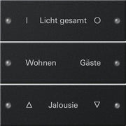 Gira - Bussystem-Tastwippe Wippenset 3-fach 2203005 beschr. System 55 sw