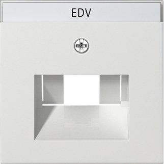 Gira - Einsatz/Abdeckung für Kommunikationstechnik Zentralplatte UAE/IAE rws 028427 m.Schriftf.,System55
