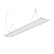 Brumberg Leuchten - Pendelleuchte LED Pendelleuchte 49250073DA MPO, 3000/4000K DALI