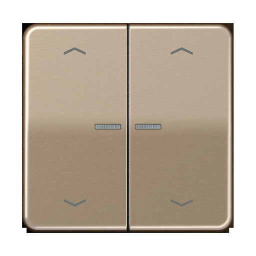 Jung - Bedienelement intelligent Taster 2fach BT CD 17102 P GB JUNG HOME