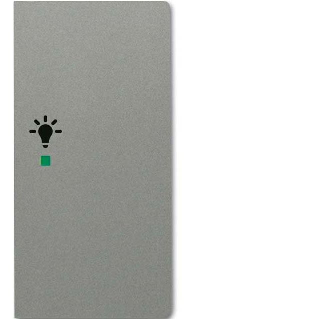 Busch-Jaeger - Bussystem-Tastwippe Wippe grau/met 6231-22-803 solo