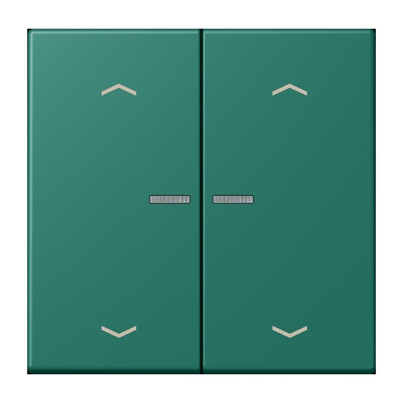 Jung - Abdeckung/Bedienelement für Installationsschalterprogramme Wippe mit Lichtleiter LC 102 KO5P 216 vert anglais