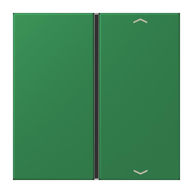 Jung - Abdeckung/Bedienelement für Installationsschalterprogramme Taste 1fach m. Pfeilsymb. LC 401 TSAP 219 vert fonce