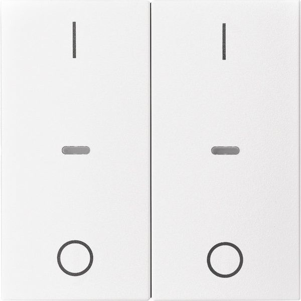 Berker - Abdeckung/Bedienelement für Installationsschalterprogramme Abdeckung Tastsensor-Modul 80962399 2-fach polarweiß mt