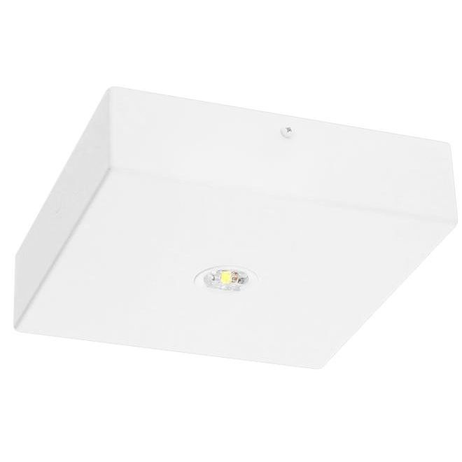 Fischer - Sicherheitsleuchte LED-Sicherheitsleuchte BQDE29Z.V2  − 1 Stück