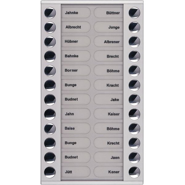 TCS Tür Control - Montageelement für Türstation Audioaußenstation 2-reihig PET24-EN/04 Erw.24 Tasten silber