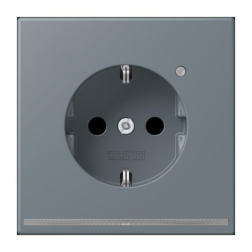 Jung - Steckdose SCHUKO Steckdose LC 1520-O LNW 251 gris 59 (4320H)