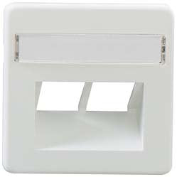 Rutenbeck - Einsatz/Abdeckung für Kommunikationstechnik Zentralstück ZSt UAE-Cat. 8/8 2f.,m.Beschriftf.pws − 1 Stück by Ruten
