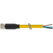 Murrelektronik - Konfektioniertes Sensor-Aktor-Kabel Buchse 7000-08041-0500750