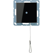 Jung - Installationsschalter Zugwechselschalter 10 AX A 506 BF NUZ SW schwarz