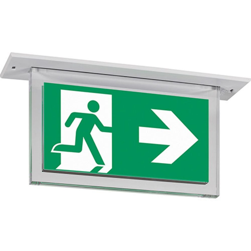 Ceag Notlichtsysteme - Sicherheitsleuchte Rettungszeichenleuchte RZ 1503 LED CG-S