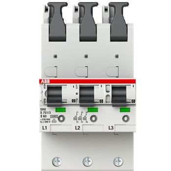 ABB Stotz S&J - Selektiver Hauptleitungsschutzschalter Hauptsicherungsautomat S751/3-E63 o.Schienenadapter