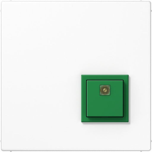 Jung - Behindertenelement für Installationsschalterprogramme Abstelltaster aws NRS LS 0834 AT WW ausgel.RUF abstellen