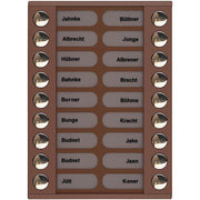 TCS Tür Control - Montageelement für Türstation Audioaußenstation 2-reihig PET18-EB/04 Erw.18 Tasten bronze