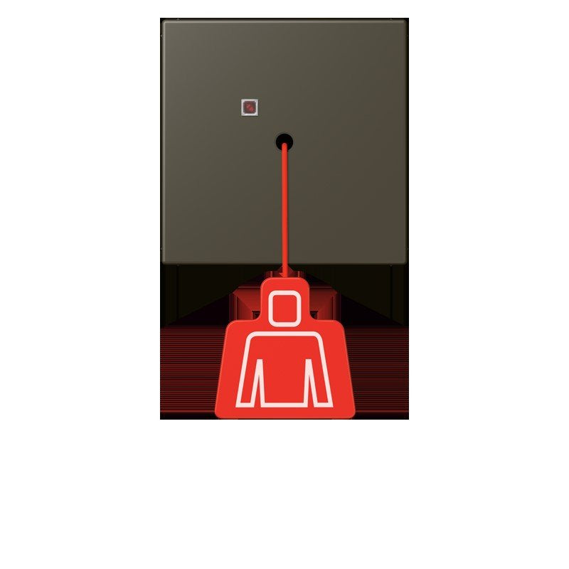 Jung - Behindertenelement für Installationsschalterprogramme Notrufsystem Zugtaster NRS LC 0834 ZT 241 ombre naturelle 31