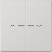 Jung - Abdeckung/Bedienelement für Installationsschalterprogramme Wippe Symbole/Lichtl.lgr LS 995 KO5P LG für Taster 2-fach