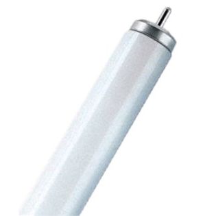Scharnberger+Hasenbein - Leuchtstofflampe LED-Tube T12 45239 1-Pin f. EX-Leuchten − 1 Stück by Scharnberger+Hasenbein
