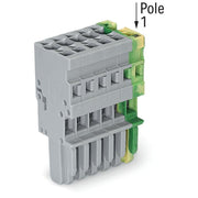 WAGO - Ein- und mehrpolige Klemmenleiste 1-Leiter-Federleiste 769-106/000-036 4mm²,gn-ge/gr − 25 Stück