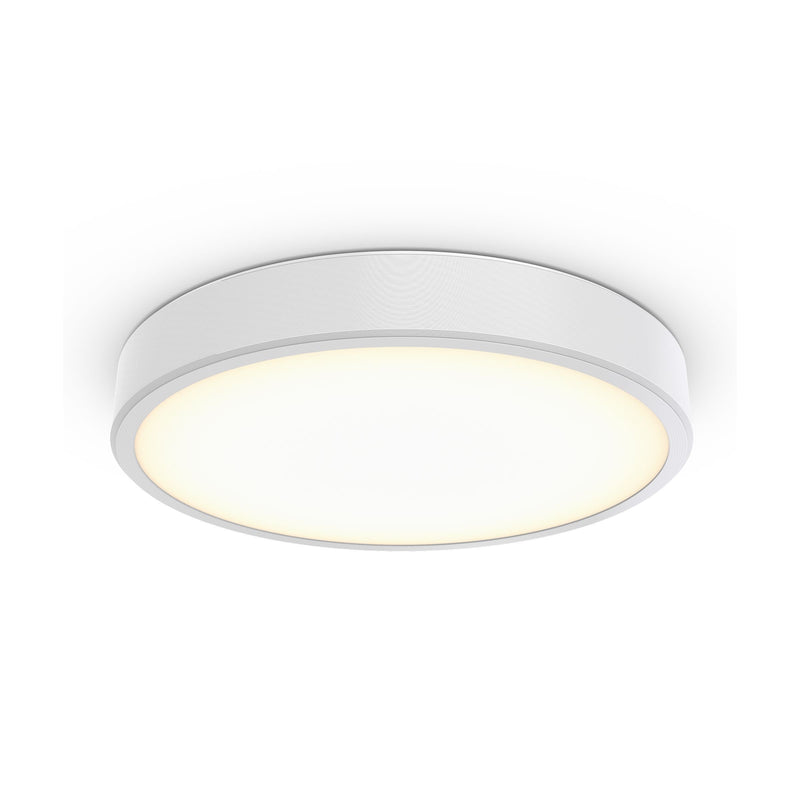 Philips Lighting - Decken-/Wandleuchte 3D-LED-Leuchte TCBRLS 46S #86385900 940