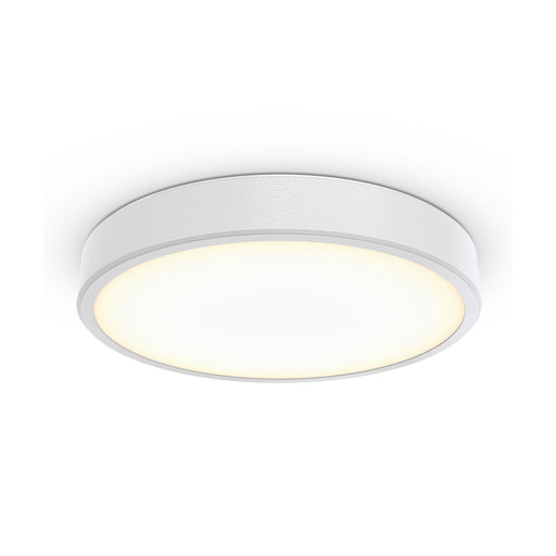 Philips Lighting - Decken-/Wandleuchte 3D-LED-Leuchte TCBRLS 46S #86385900 940
