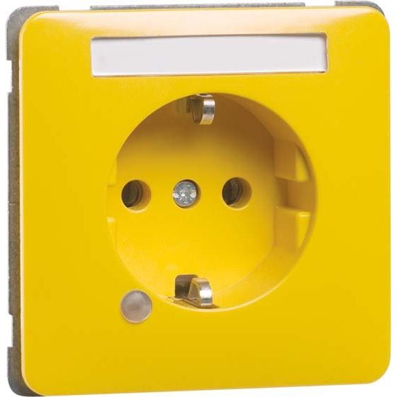 Peha - Schalter-/Steckdosenkombination SCHUKO-Steckdose ge D 80.6511.31LED/4NA 16A 250V 2-pol