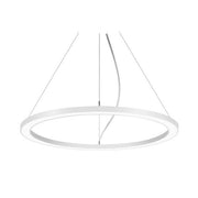 Brumberg Leuchten - Pendelleuchte LED-Pendel-Ringleuchte 13922174 D1000mm, H35mm