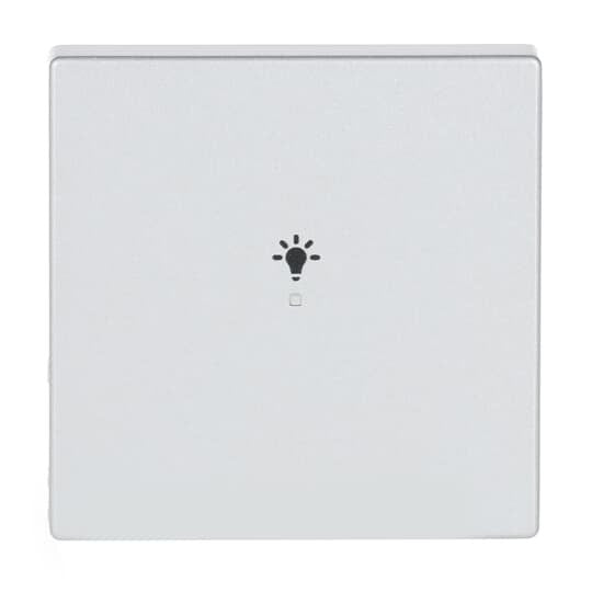 Busch-Jaeger - Bussystem-Tastwippe Wippe 1-fach, Symbol Licht 6231-10-83 alusilber