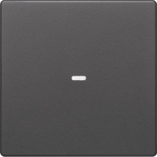 Berker - Abdeckung/Bedienelement für Installationsschalterprogramme Tast-Abdeckung 1f. anth 80960226 Tastsensor-Modul