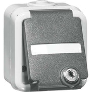 Peha - Schalter-/Steckdosenkombination SCHUKO-Steckdose 1-fach gr D 6620 WAB NA VS 16A 250V 2-pol.Absch