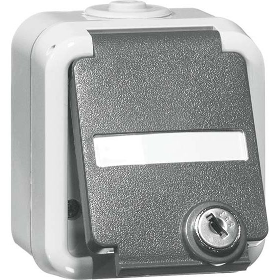 Peha - Schalter-/Steckdosenkombination SCHUKO-Steckdose 1-fach gr D 6620 WAB NA VS 16A 250V 2-pol.Absch