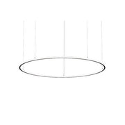 Brumberg Leuchten - Pendelleuchte LED-Pendel-Ringleuchte 84114184 4000K, DALI-2