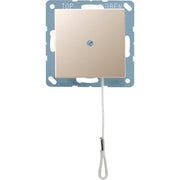 Jung - Installationsschalter Zugwechselschalter 10 AX A 506 BF NUZ CH champagner