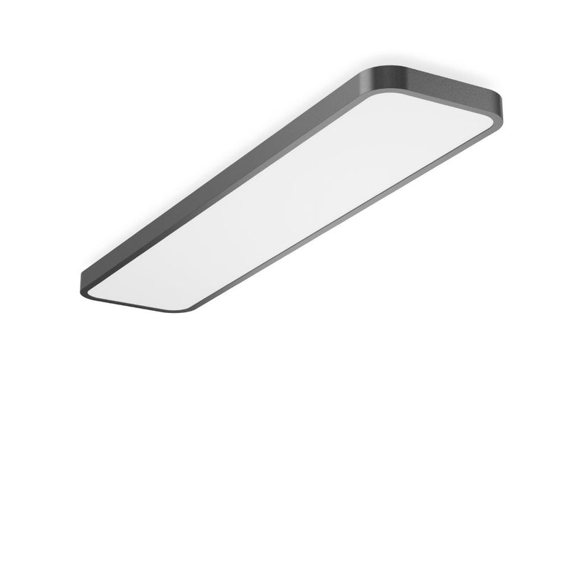 RZB - Decken-/Wandleuchte LED-Wand-u.Deckenleuchte 312713.0031.76 830, DALI, anthrazit