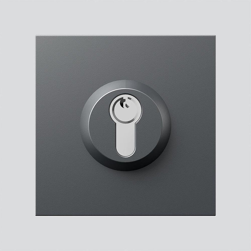 Siedle&Söhne - Funktionsmodul für Türkommunikation Schloss-Modul SM 611-01 DG dgr/gli