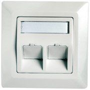 Telegärtner - Kommunikationsanschlussdose Kupfer Modul-Aufnahme 2-fach 100021409 80x80, aws