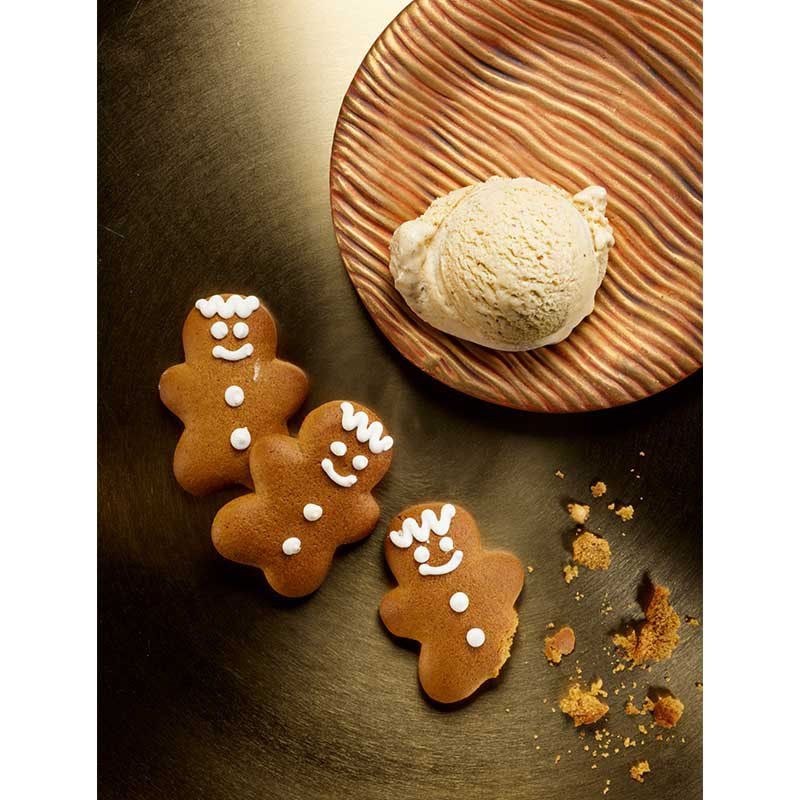 Unold - Dokumentation Eisbuch 488999 101 Rezepte  − 1 Stück