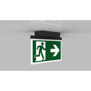 RP-Technik - Sicherheitsleuchte LED-Rettungszeichenleuchte AGD403SC-AZ EB 3h, SC, anthr