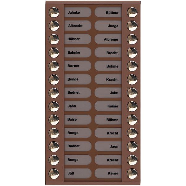 TCS Tür Control - Montageelement für Türstation Audioaußenstation 2-reihig PET26-EB/04 Erw.26 Tasten bronze