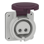 Schneider Electric - CEE-Anbausteckdose (IEC 60309) Industriesteckdose 82901 gerade, 16A, 2-polig