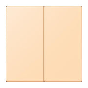 Jung - Sender/Fernbedienung für Installationsschalterprogramme EnOcean Funk-Wandsender ENO LC 995 223 ocre (32060)