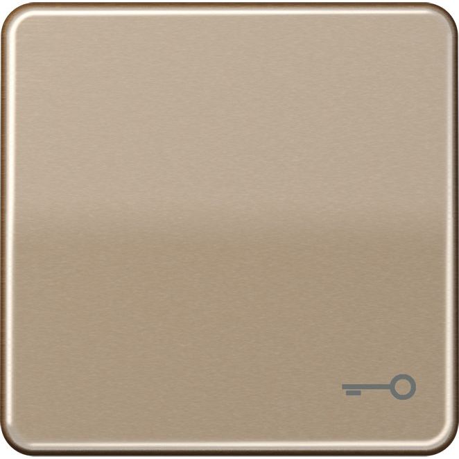 Jung - Abdeckung/Bedienelement für Installationsschalterprogramme Wippe Symbol TÜR gold brz CD 590 T GB für Taster